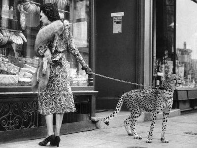 Anonymous - Elegant Woman with Cheetah