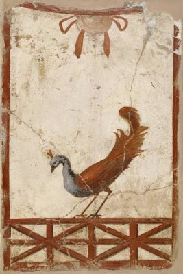 Unknown 1st Century Roman Artisan - Wall Fragment with a Peacock
