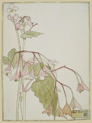 Hannah Borger Overbeck - Beef Begonia