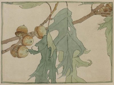 Hannah Borger Overbeck - Oak/Acorns