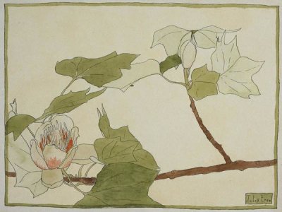 Hannah Borger Overbeck - Tulip Tree