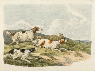 Henry Thomas Alken - Running Hounds, 1817