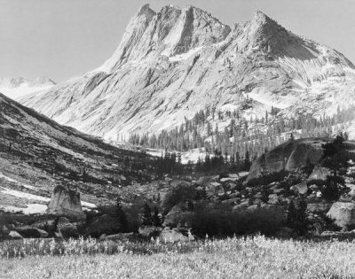 Ansel Adams - Boaring River, Kings Region, Kings River Canyon, proposed as a national park, California, 1936