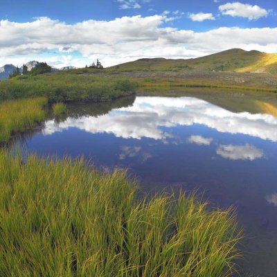 Time Fitzharris - Clouds reflected in water at Cottonwood Pass, Rocky Mountains, Colorado - Square Crop