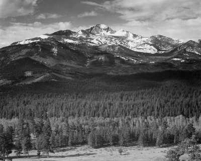 Ansel Adams - Trees in foreground, snow covered mountain in background, in Rocky Mountain National Park, Colorado, ca. 1941-1942