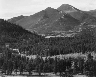 Ansel Adams - View with trees in foreground, barren mountains in background,  in Rocky Mountain National Park, Colorado, ca. 1941-1942