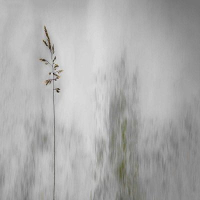 Gilbert Claes - Blade Of Grass