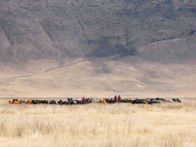 Mathilde Guillemot - Incredible Maasai