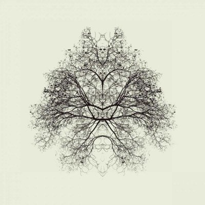 Nadav Jonas - Rorschach Test
