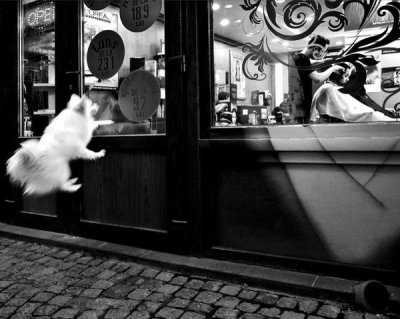 Mirela Momanu - Last Customer