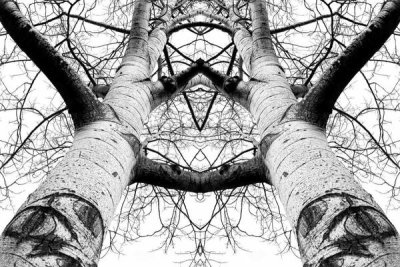 James K. Papp - Aspen Cathedral