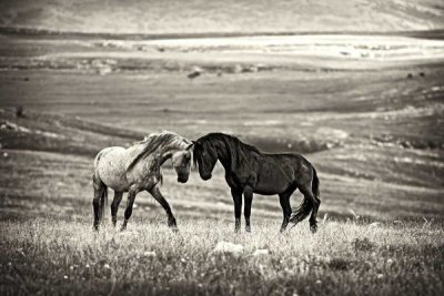 Vedran Vidak - Close Encounter