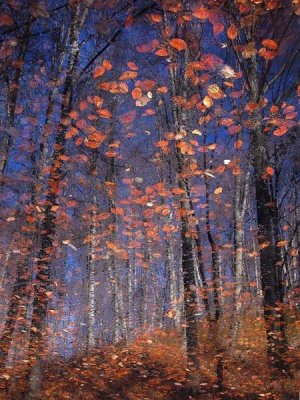 Florentin Vinogradof - Autumn Leaves