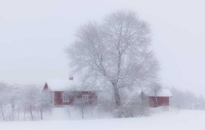 Allan Wallberg - Winter Idyll