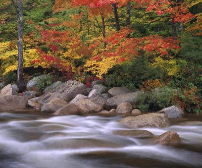 Tim Fitzharris - Autumn along Swift River, White Mountains National Forest, New Hampshire