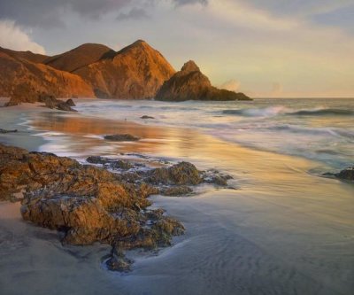 Tim Fitzharris - Bean Hollow Beach, Big Sur, California