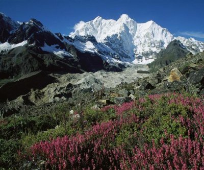 Colin Monteath - Wildflowers and Kangshung Glacier, Mt Chomolonzo in background, Tibet