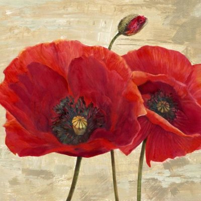 Cynthia Ann - Red Poppies (detail II)