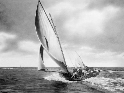 Anonymous - Under sail, Sydney Harbour