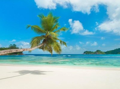 Anonymous - Tropical beach, Seychelles (detail)