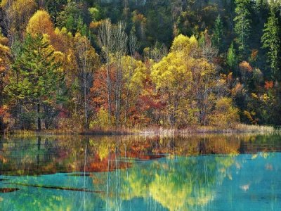 Frank Krahmer - Forest in autumn colours, Sichuan, China