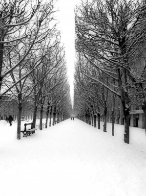 Michel Setboun - The Tuileries Garden under the snow, Paris