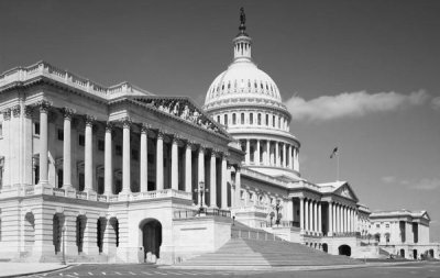 Carol Highsmith - U.S. Capitol, Washington, D.C. - Black and White Variant