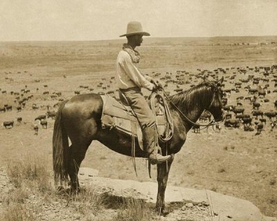Erwin E. Smith - A Texas cowboy, 1907 - Sepia
