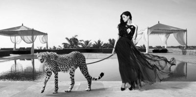 Lauren - Woman with Cheetah