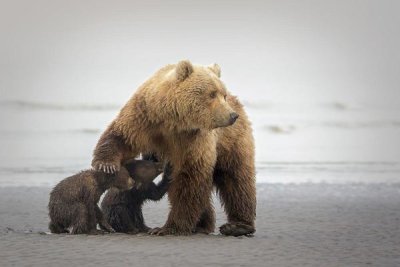 Renee Doyle - Family Time