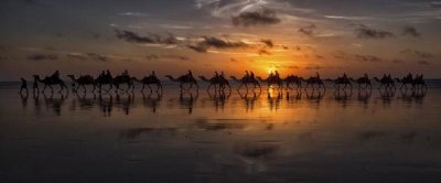 Louise Wolbers - Sunset Camel Safari