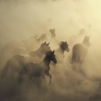Huseyin Taskin - Migration Of Horses