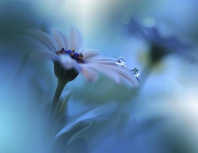 Juliana Nan - Beyond The Visible