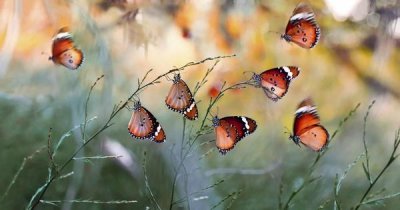 Mustafa ozturk - Family