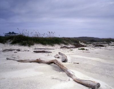 Carol Highsmith - Driftwood on beach at Padre Island, TX