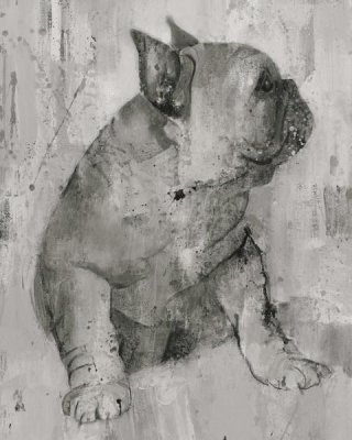 Albena Hristova - Duke in Grey Tones