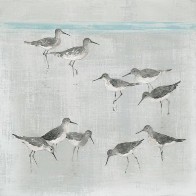 Avery Tillmon - Sandpipers Gray