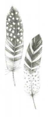 Avery Tillmon - Feather Sketches VIII