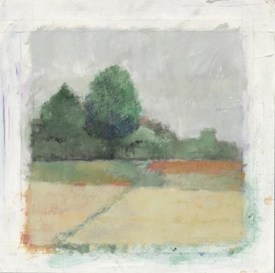 Avery Tillmon - Path Through the Field Crop Green