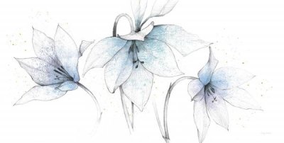 Avery Tillmon - Blue Graphite Floral Trio