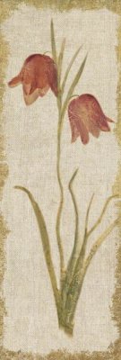 Cheri Blum - Red Tulip Panel on White Vintage