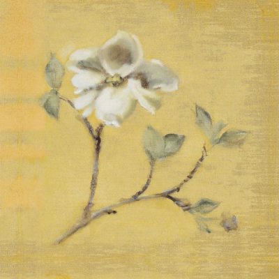 Cheri Blum - Dogwood Blossom on Gold