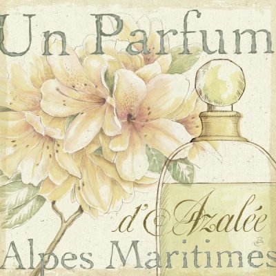 Daphne Brissonnet - Fleurs Parfums III