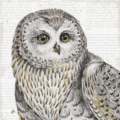 Daphne Brissonnet - Beautiful Owls II