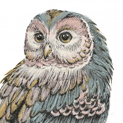 Daphne Brissonnet - Beautiful Owls I Pastel Crop