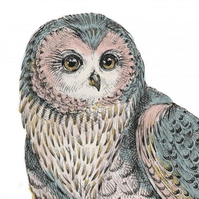 Daphne Brissonnet - Beautiful Owls IV Pastel Crop