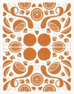 Elyse DeNeige - Retro Orange Otomi Monotone