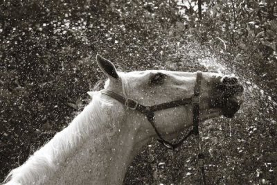 Jim Dratfield - After a Shower