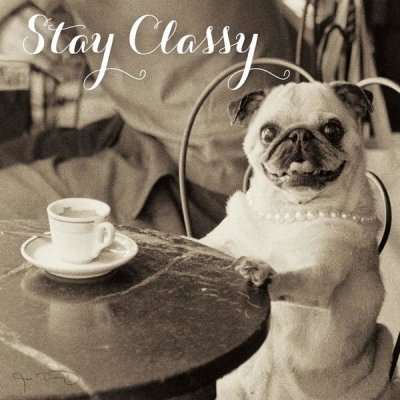 Jim Dratfield - Cafe Pug Stay Classy