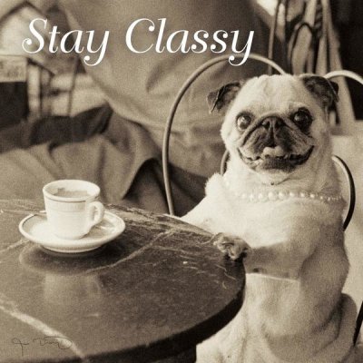 Jim Dratfield - Cafe Pug Stay Classy V2